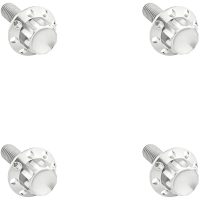 BOLT KIT TITANIUM 12PT WINDSHIELD POLISH