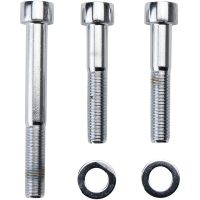 BOLT SET FR CALIPER POL