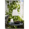 Bordslampa Kreta Vit Star Trading – miniatyr 20