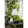 Bordslampa Kreta Vit Star Trading – miniatyr 2