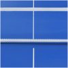 Bordtennisbord med nät 5 feet 152x76x66 cm blå vidaXL – miniatyr 9