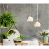 Bow Taklampa, Singel, Vit ANETA HOME Sockel GU10 Vit /Brun /Silver – miniatyr 5