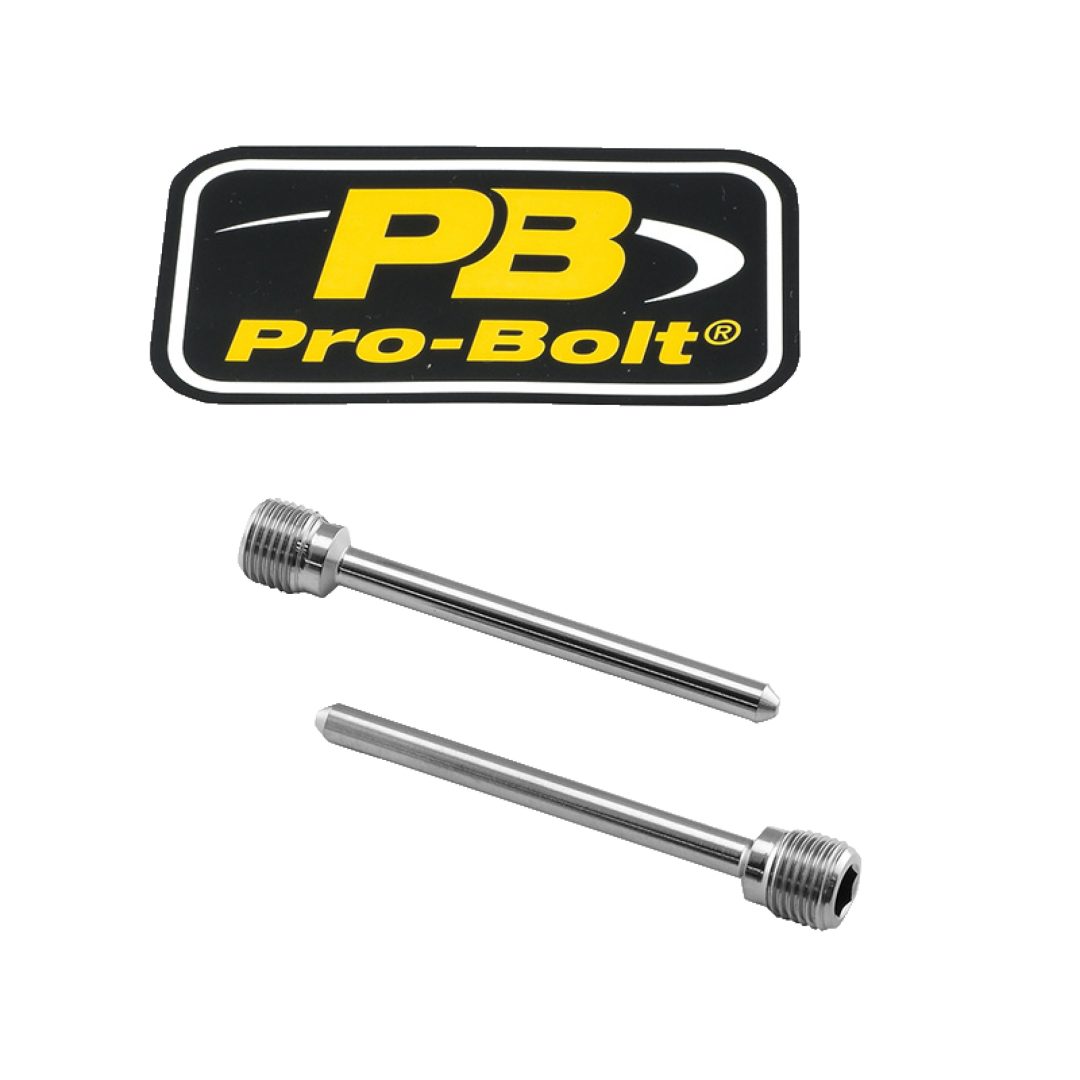 Bromsokstift Standard PRO BOLT Silver