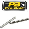 Bromsokstift Standard PRO BOLT Silver – miniatyr 1