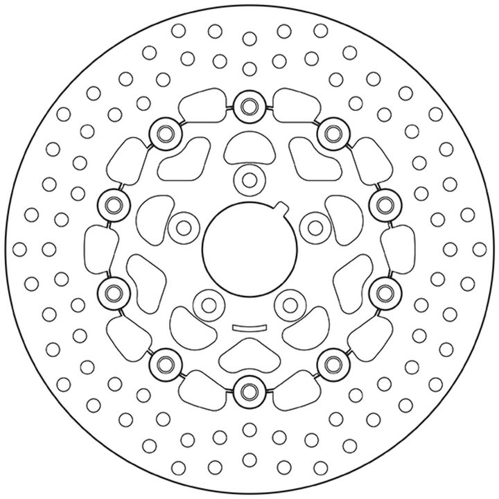 Bromsskiva FRAM Serie Oro Brembo – bild 3