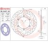 Bromsskiva SERIE ORO PRIME LINE Fast Borrad BREMBO – miniatyr 2