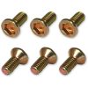 Bromsskruvkit Fram RFX – miniatyr 1