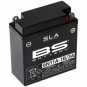 Underhållsfritt Batteri Sla Fabriksaktivt BS BATTERY
