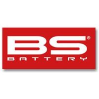 BS BATTERY Small Sticker - 50 pcs