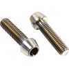 Bultar Bromsok Standard PRO BOLT Silver / Bak – miniatyr 2
