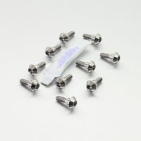 Bultar Bromsskiva Titanium PRO BOLT