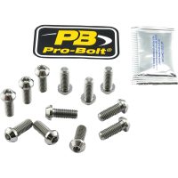 Bultar Bromsskiva Titanium PRO BOLT
