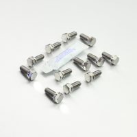 Bultar Bromsskiva Titanium PRO BOLT