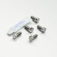 Bultar Bromsskiva Titanium PRO BOLT