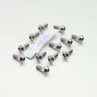 Bultar Bromsskiva Titanium PRO BOLT