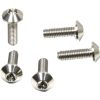Bultar Bromsskiva Titanium PRO BOLT Silver – miniatyr 2