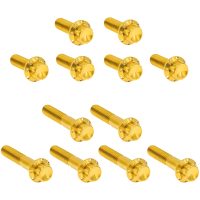 Bultkit Rocker Box 12-Point Titan Guld ARLEN NESS