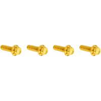 Bultsats Transmission Top Cover 12-Point Guld Titan ARLEN NESS