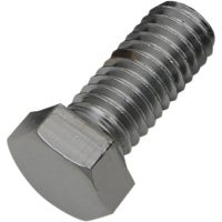 Bultset Hex-Head Krom Polerad DRAG SPECIALTIES