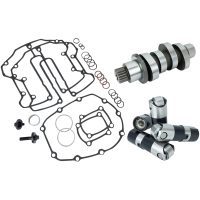 Cam Kit - 487 - Chain Drive - Race Series Lifters - M8