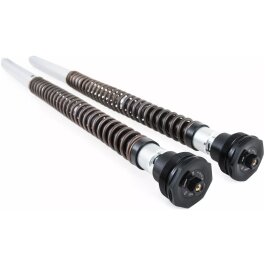 Cartridge Kit Nix30 Aluminium Guld ÖHLINS