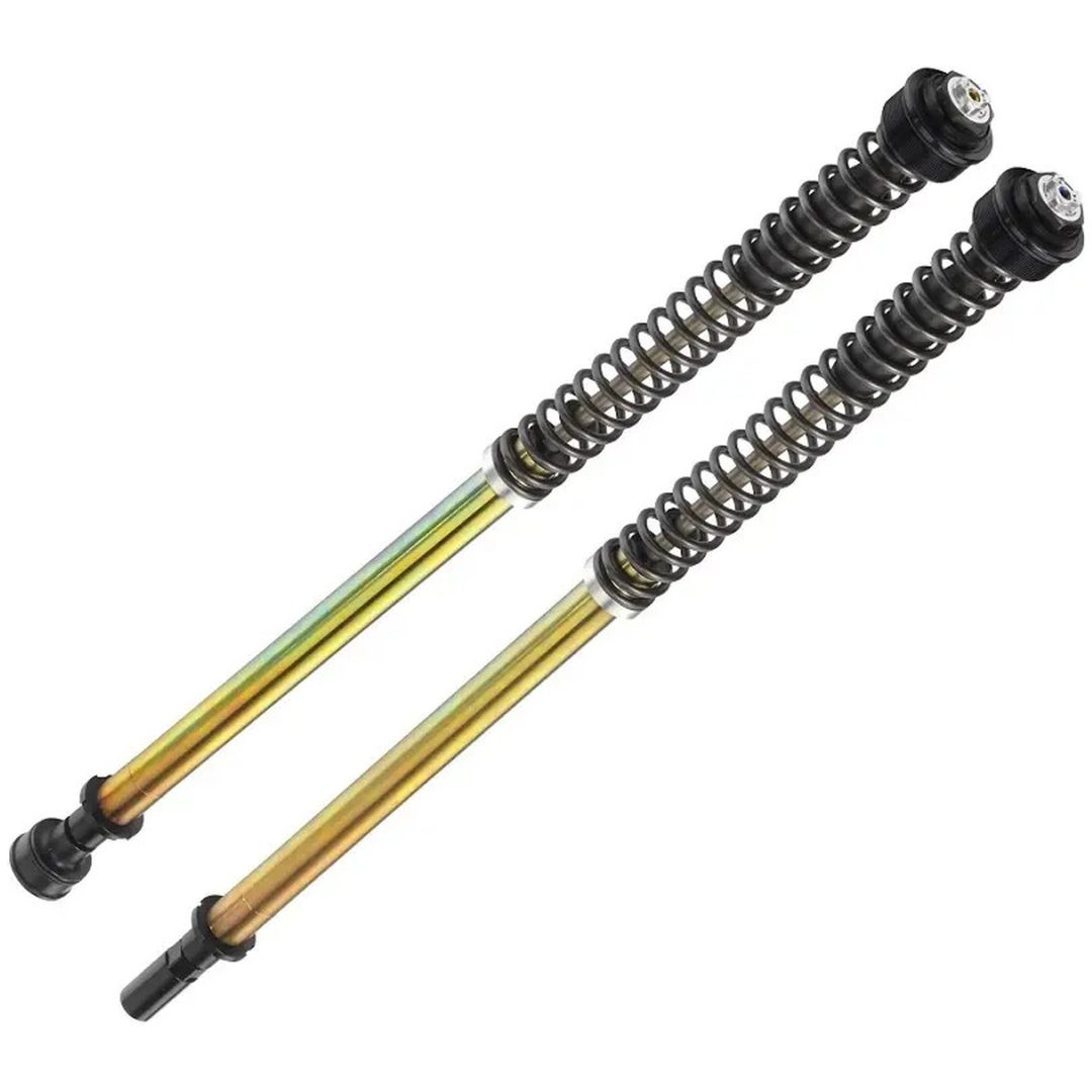 Cartridge Kit ABA Series Svart Guld BITUBO S.R.L.