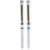 Cartridge Kit FGK Road/Track 30 mm ÖHLINS – miniatyr 1