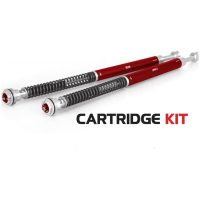 Cartridge Kit Z1 YSS