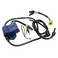 CDI-Box Rotax Med tändspole Sno-X
