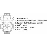 CDI-Box TECNIUM