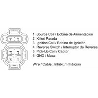 CDI-Box TECNIUM