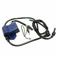 CDI-BoxRotax Sno-X