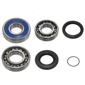 Chain case bearing kit Sno-X