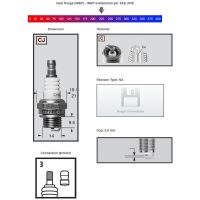 Champion Tändstift CJ8