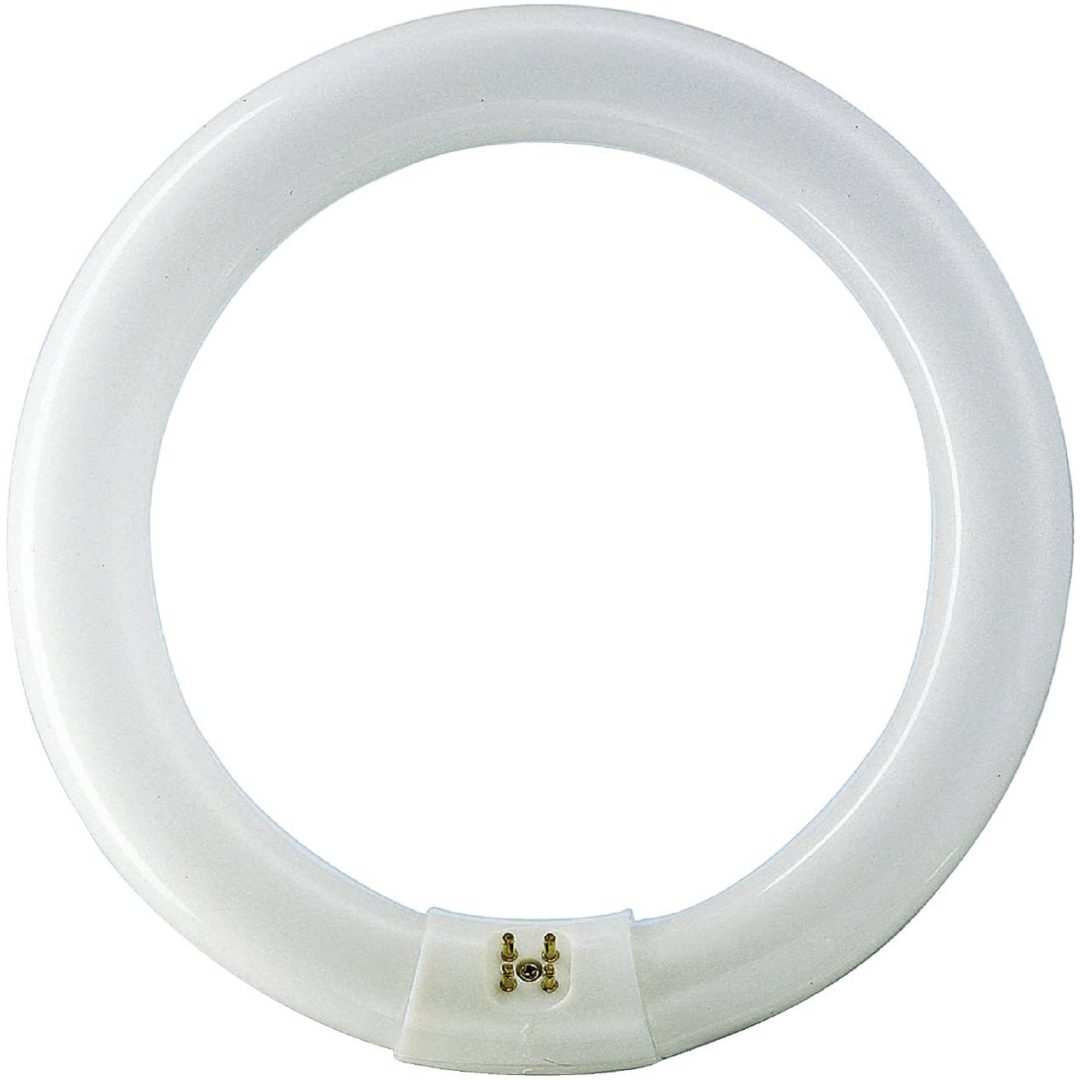Cirkellysrör T8 CIRKELLYSRÖR T8 FULLFÄ 33W 840