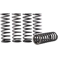 CLUTCH SPRING KIT HI TEMP YZ/WR 250
