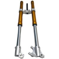 COMPLETE FORK MRT/DRAC PRO ⌀40 E4 /E5 - V1/ V2