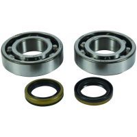 Crankshaft Bearing & Oil Seal Kit All Balls