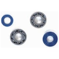 Crankshaft Bearing & Oil Seal Kit TOP PERFORMANCES