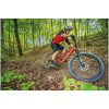 Crosshorts MTB Svart MOOSE RACING 28 – miniatyr 3