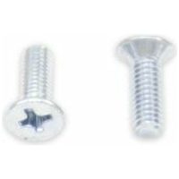 Cunterskunk Philips Head Screw Silver BOLT