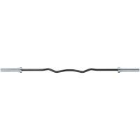 Curlbar long Master Fitness