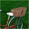 Cykelkorg för pakethållaren med dyna 55x31x36 cm naturlig pil vidaXL – miniatyr 1