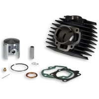 Cylinder Kit ⌀45,5 Cast Iron MALOSSI