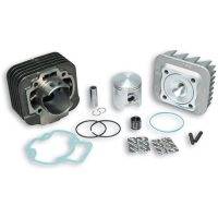 Cylinderkit Gjutjärn MALOSSI
