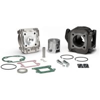 Cylinderkit Gjutjärn MALOSSI