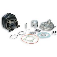 Cylinderkit Gjutjärn Racing MALOSSI