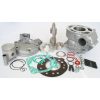 Cylinderkit Racing 70cc ATHENA – miniatyr 1