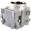 Cylinderkit Standard CYLINDER WORKS CYLINDER STD RHINO 700 – miniatyr 3