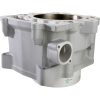 Cylinderkit Standard CYLINDER WORKS CYLINDER STD RHINO 700 – miniatyr 2